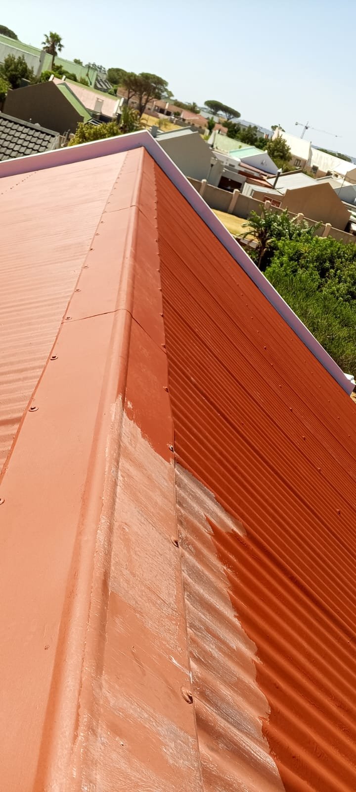 whatsapp image 2026 02 02 at 10.07.34 am (1)